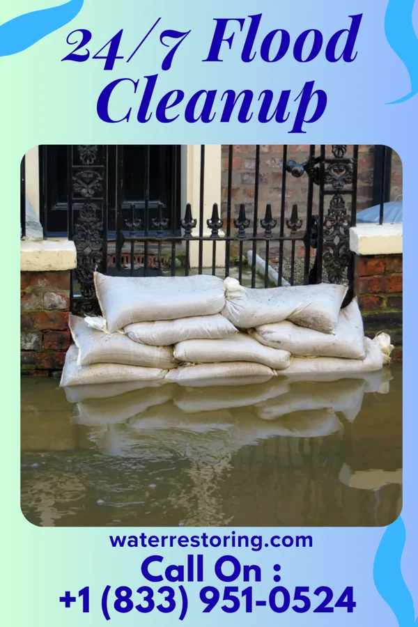 24/7 Flood Cleanup in Homer, IL